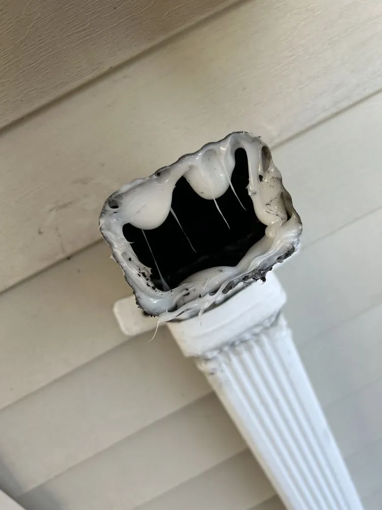 Top-rated landscaping services near you across Killingly, CT - DS Cleaning