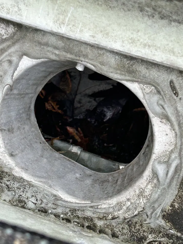 Top-rated outdoor landscaping for year-round maintenance across Killingly, CT - DS Cleaning