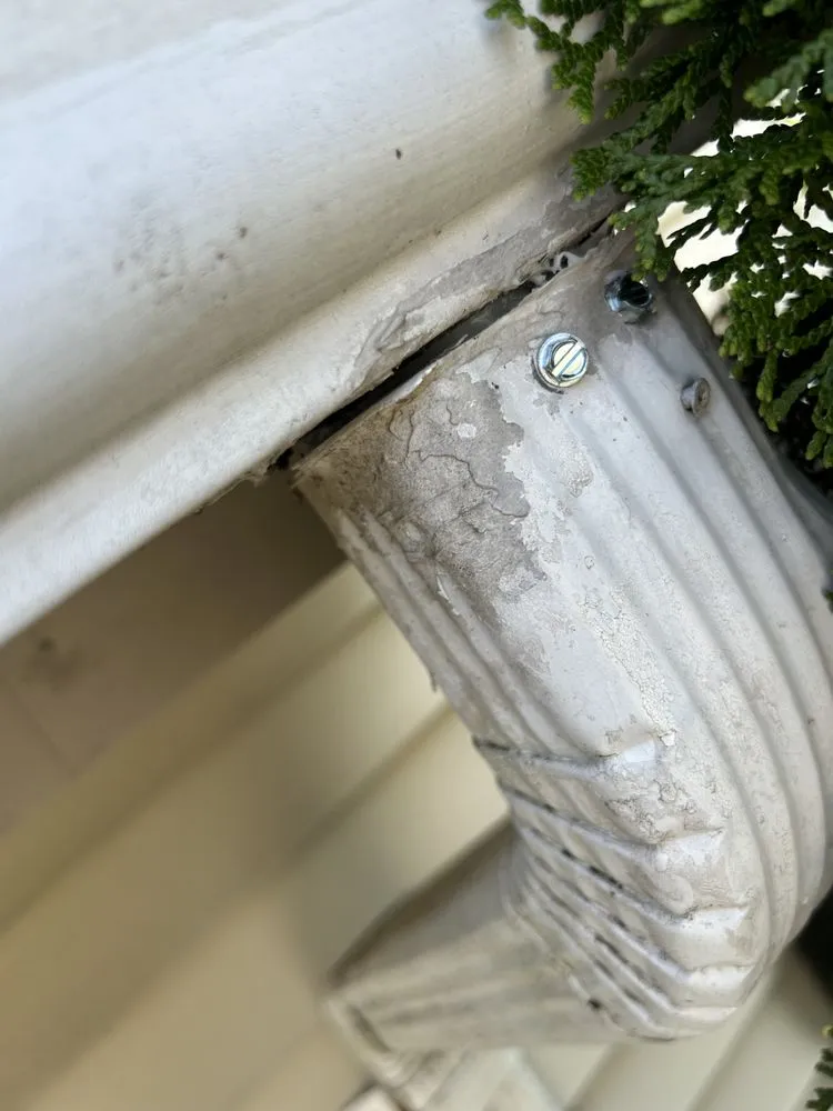 Expert yard cleanup service in Killingly, CT by DS Cleaning