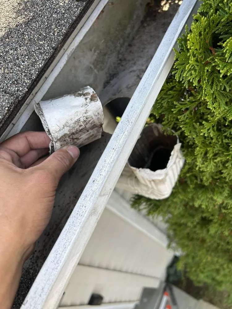 Top-rated lawn mowing service with custom design across Killingly, CT - DS Cleaning