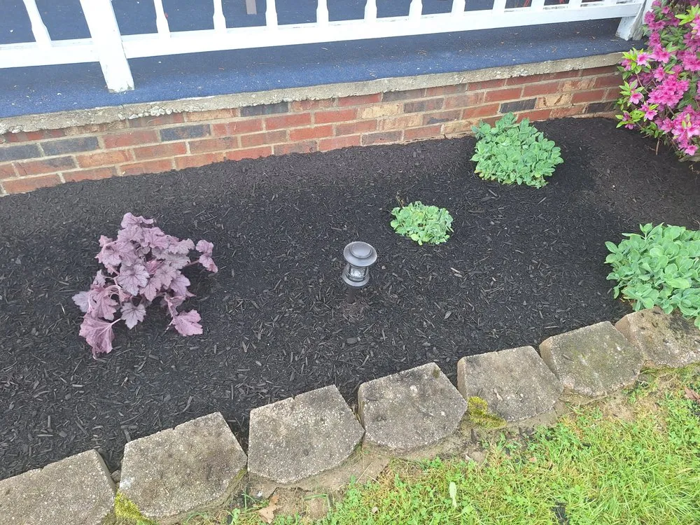 Reliable yard cleanup service in Navarre, OH - D&S Construction Mobile Home Repair