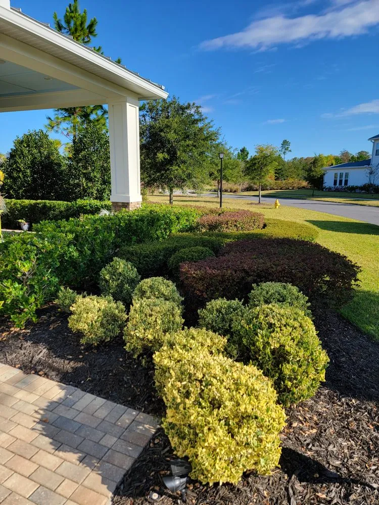 Professional landscaping services in Palm Coast, FL by D's Cutts