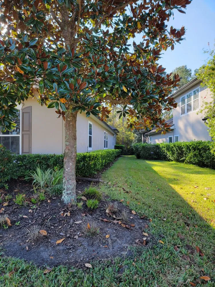 Affordable landscape installation in Palm Coast, FL - D's Cutts