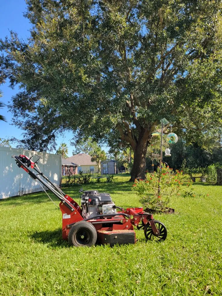 Local outdoor landscaping for outdoor upgrades in Palm Coast, FL by D's Cutts