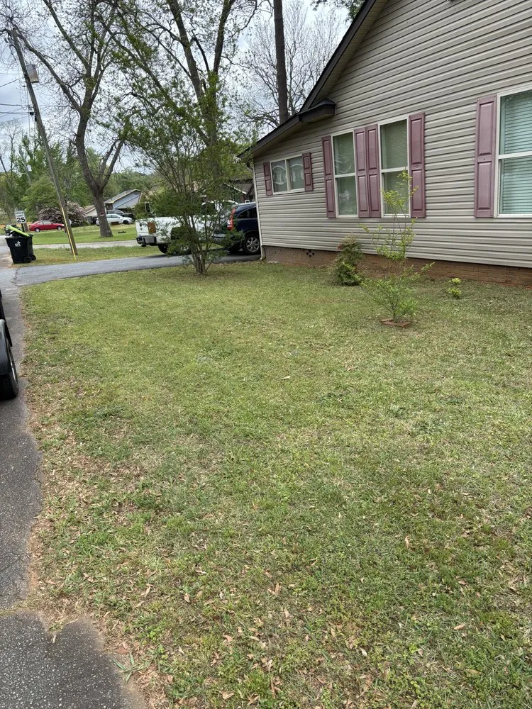 Custom lawn care service for residential properties across Barnesville, GA - Ds Detailing and Lawn Service