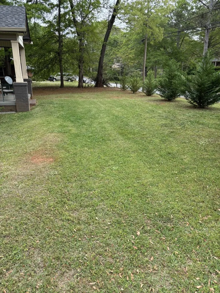 Top-rated lawn mowing service near you in Barnesville, GA by Ds Detailing and Lawn Service