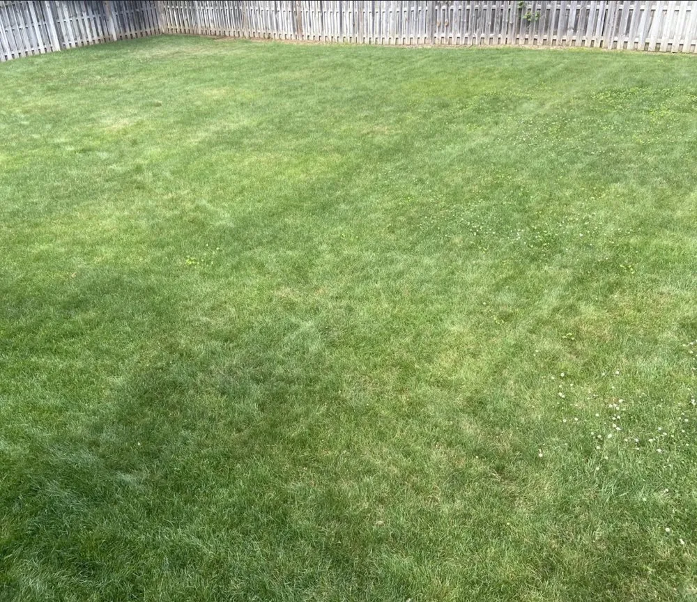 Local landscaping services for residential properties across Barnesville, GA - Ds Detailing and Lawn Service