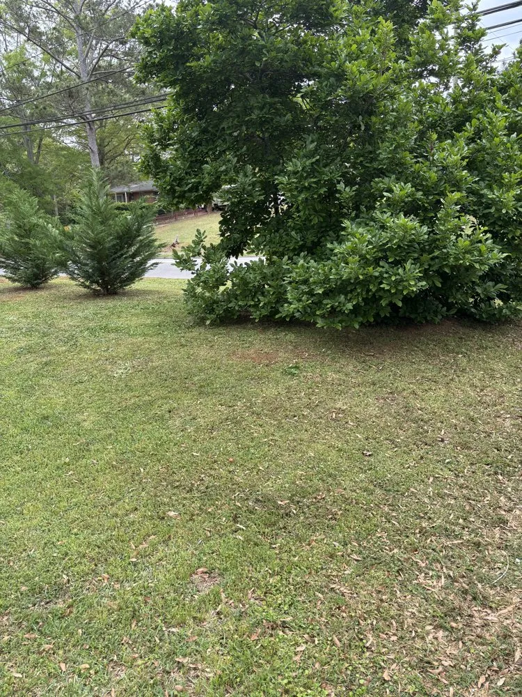 Expert landscape installation near you across Barnesville, GA - Ds Detailing and Lawn Service