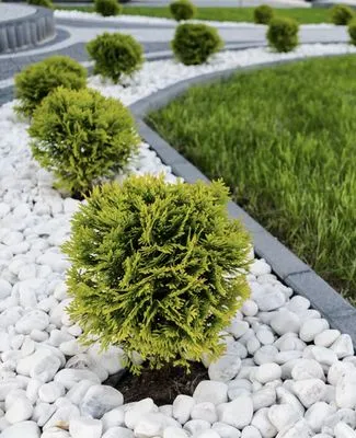 D's Fence & Landscape Logo