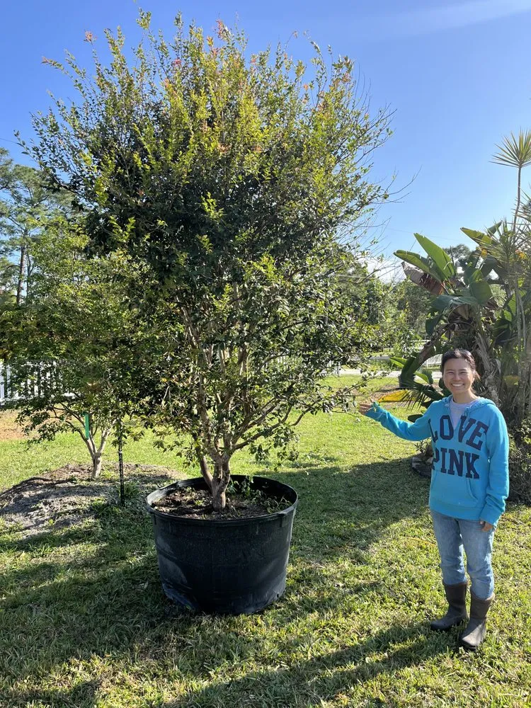 Reliable garden landscaping for year-round maintenance across Miami, FL - D's Fruit Trees