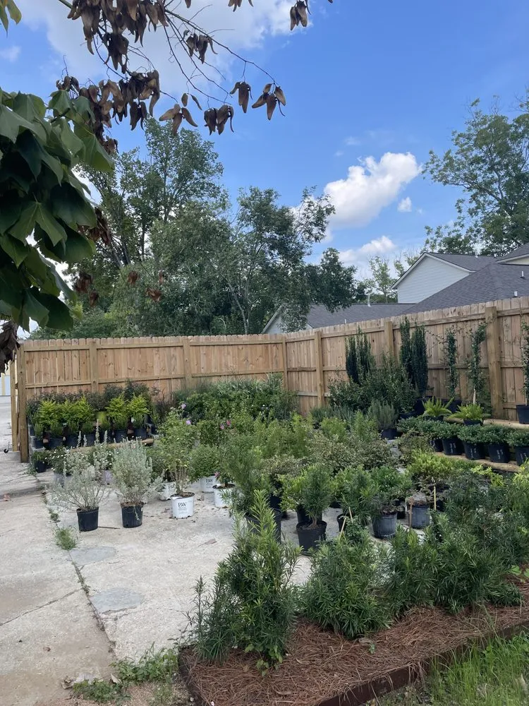 Expert residential landscaping in Baton Rouge, LA by D's Garden Center