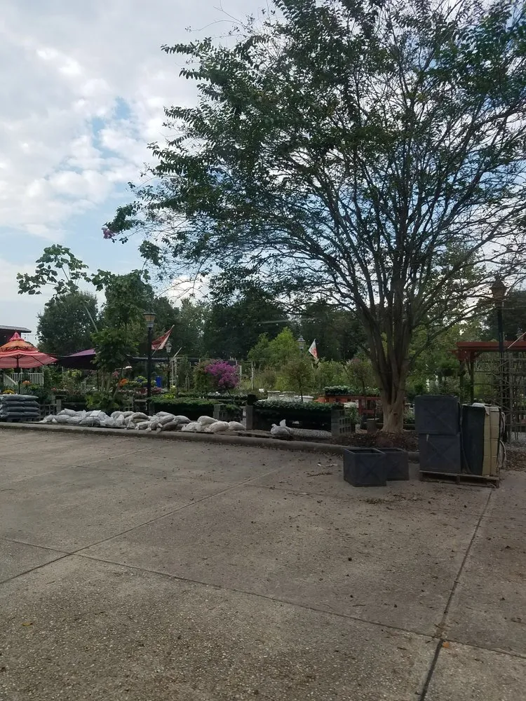 Professional lawn care service with custom design across Baton Rouge, LA - D's Garden Center