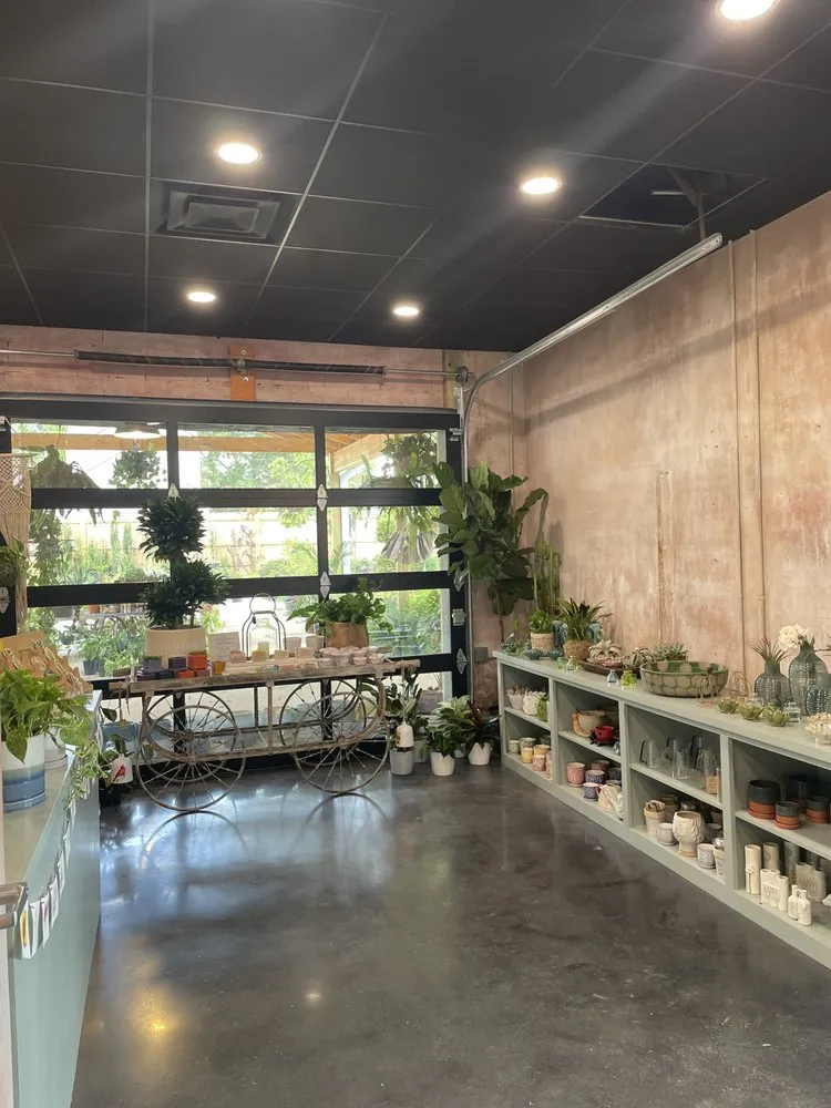 Expert landscape installation in Baton Rouge, LA - D's Garden Center