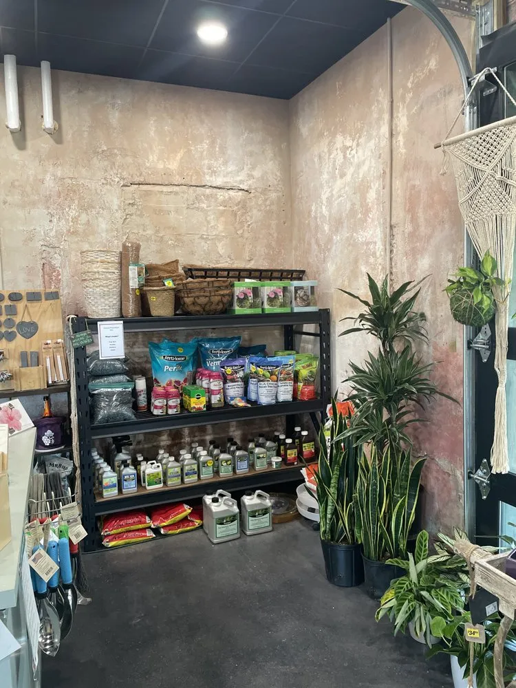 Top-rated lawn care service experts serving Baton Rouge, LA - D's Garden Center