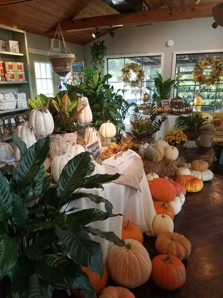 Local landscape design experts serving Baton Rouge, LA - D's Garden Center