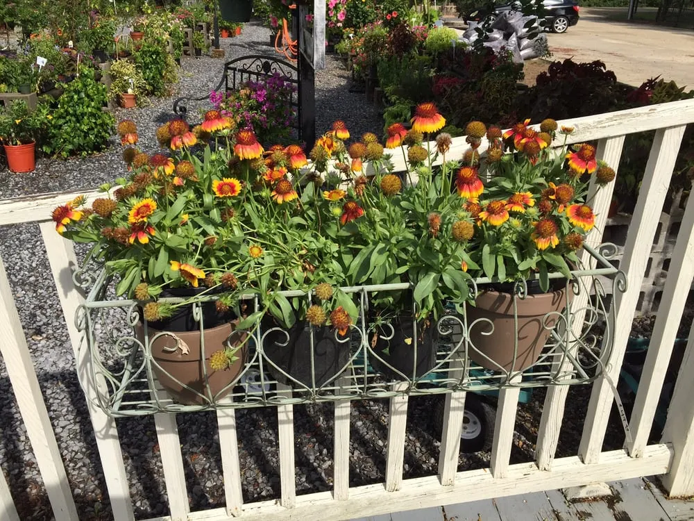 Custom lawn mowing service experts serving Baton Rouge, LA - D's Garden Center