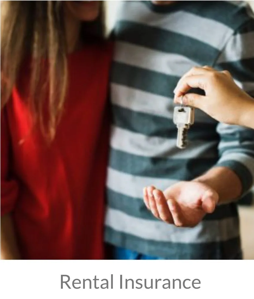 Expert landscape installation near you in College Park, GA by Ds Home Network Service