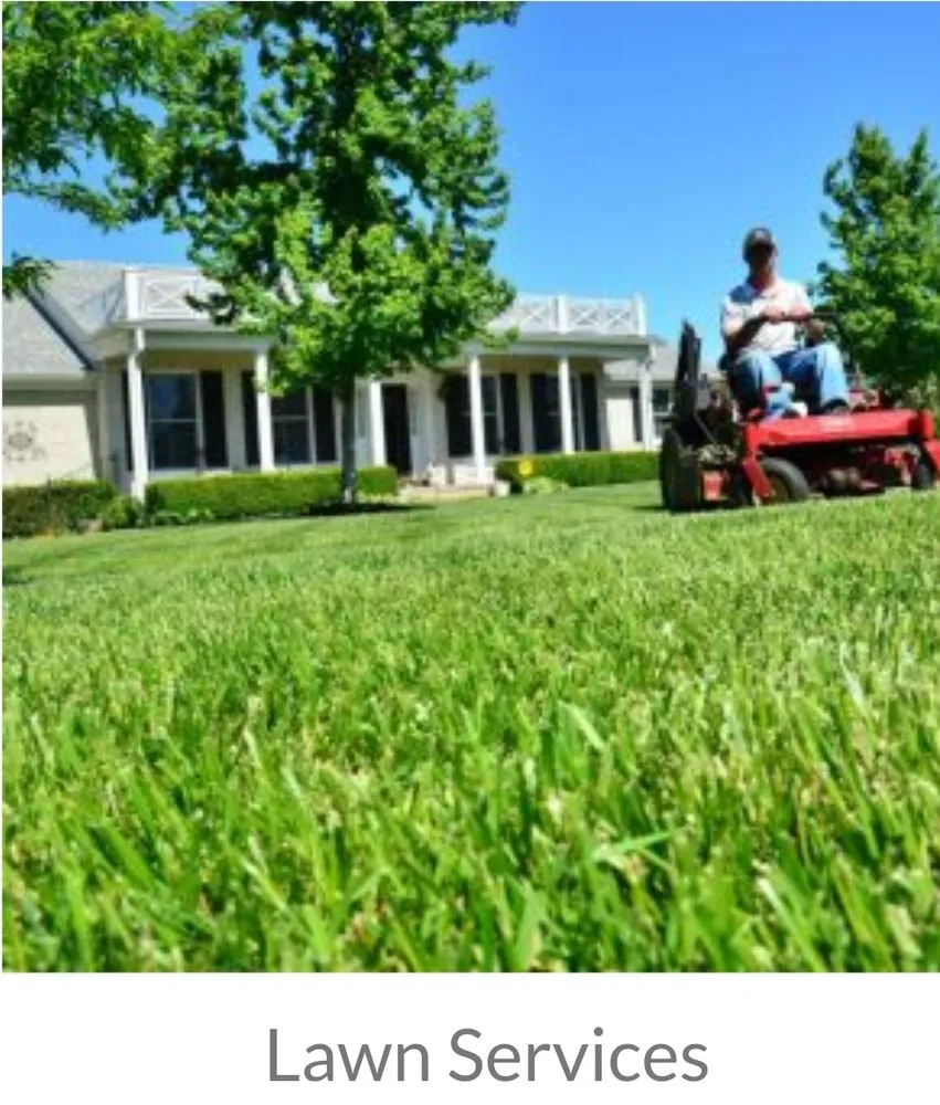 Professional garden landscaping in College Park, GA by Ds Home Network Service