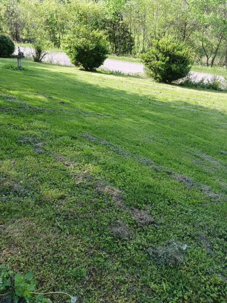 Top-rated lawn mowing service in Cookeville, TN by Ds Junk Removal