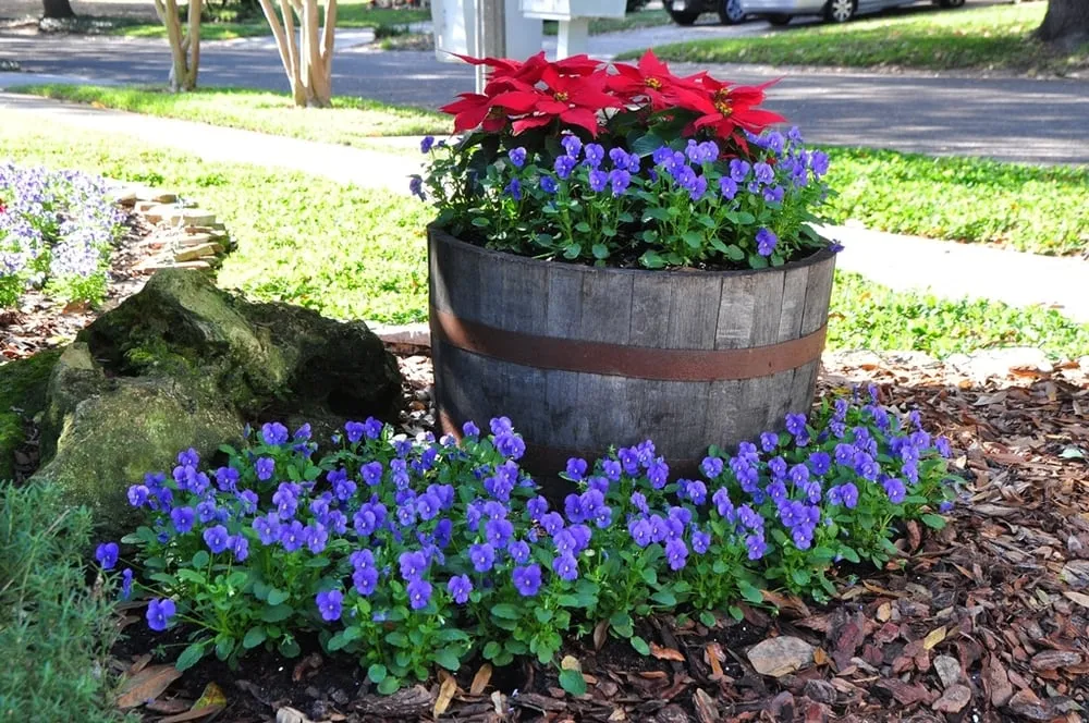 Custom landscape design in Casselberry, FL - DS Landscape & Maintenance