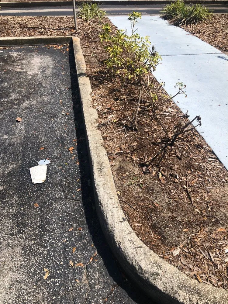 Professional lawn mowing service for year-round maintenance across Casselberry, FL - DS Landscape & Maintenance