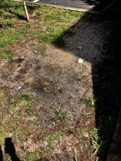 Trusted lawn mowing service experts serving Casselberry, FL - DS Landscape & Maintenance