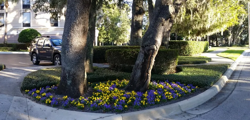Trusted landscape design near you across Casselberry, FL - DS Landscape & Maintenance
