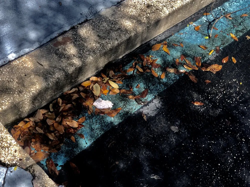 Trusted landscaping services experts serving Casselberry, FL - DS Landscape & Maintenance