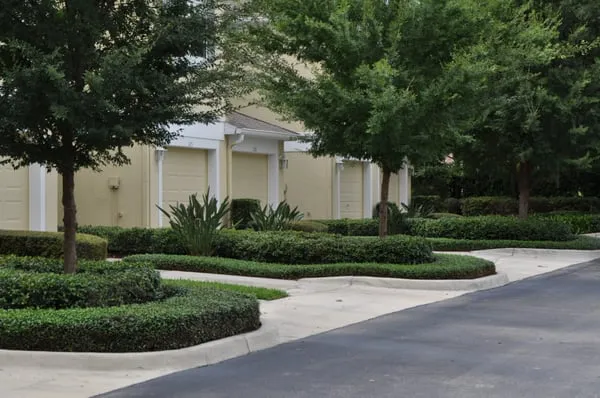 DS Landscape & Maintenance