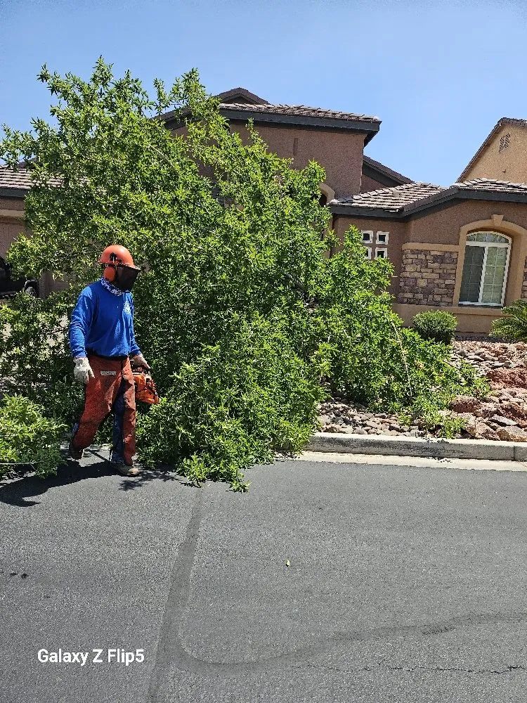 Top-rated garden landscaping in Pahrump, NV - D&S Landscape & Maintenance