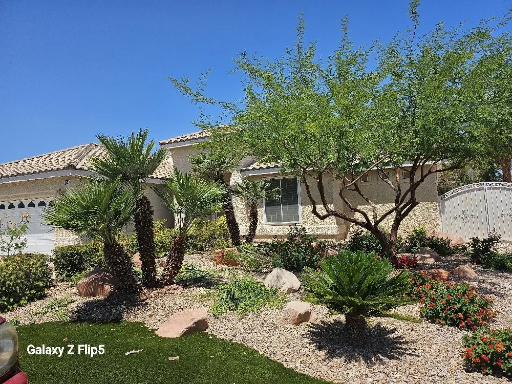 Affordable yard cleanup service in Pahrump, NV - D&S Landscape & Maintenance