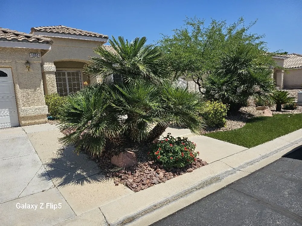 Top-rated lawn care service for beautiful yards in Pahrump, NV by D&S Landscape & Maintenance
