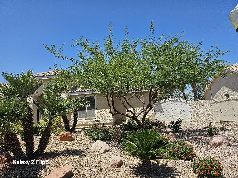 Affordable lawn mowing service experts serving Pahrump, NV - D&S Landscape & Maintenance