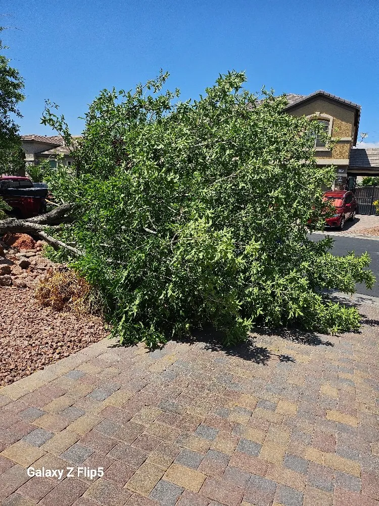 Reliable landscape design with custom design across Pahrump, NV - D&S Landscape & Maintenance