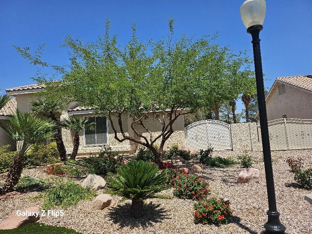 Trusted landscape design experts serving Pahrump, NV - D&S Landscape & Maintenance