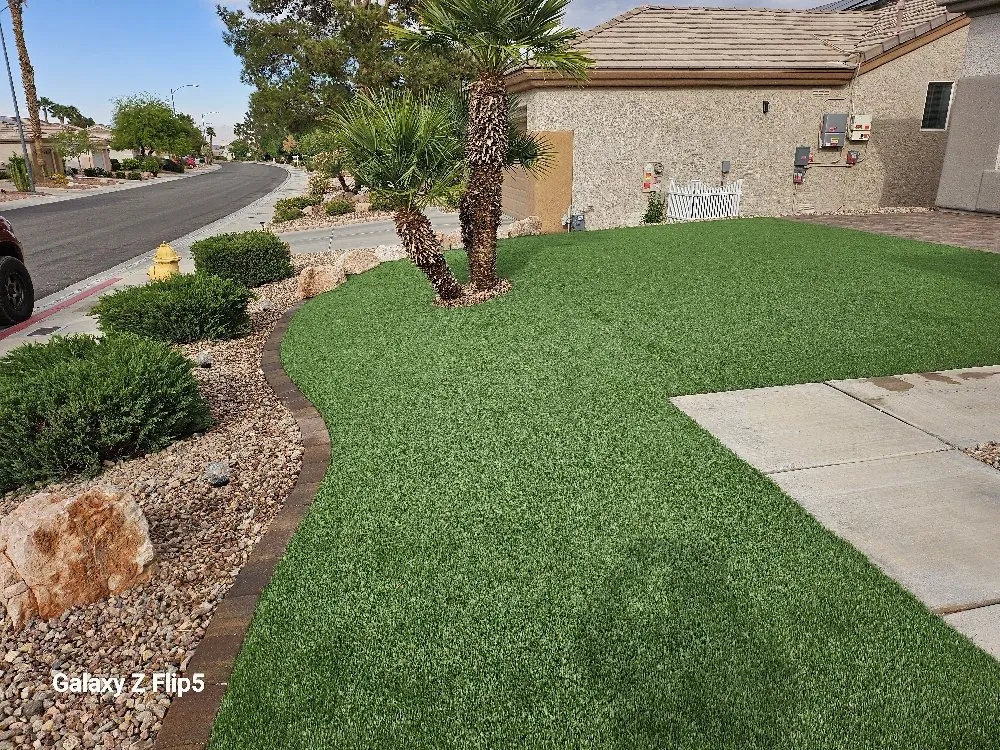 Top-rated yard cleanup service for beautiful yards across Pahrump, NV - D&S Landscape & Maintenance