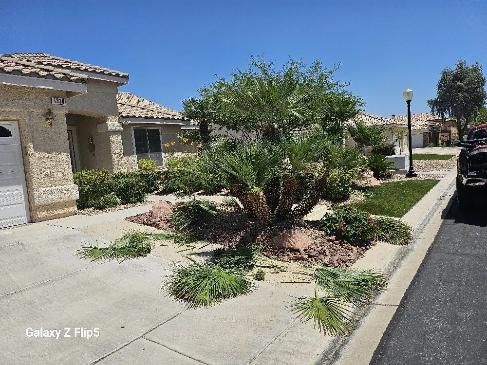 Custom landscaping services for homes across Pahrump, NV - D&S Landscape & Maintenance