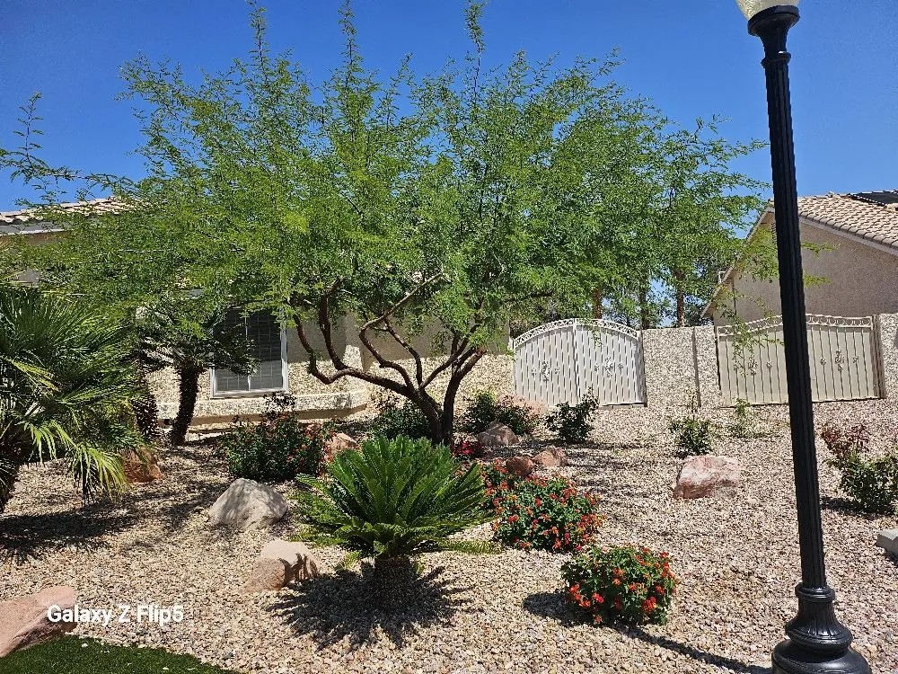 Professional landscape design in Pahrump, NV - D&S Landscape & Maintenance