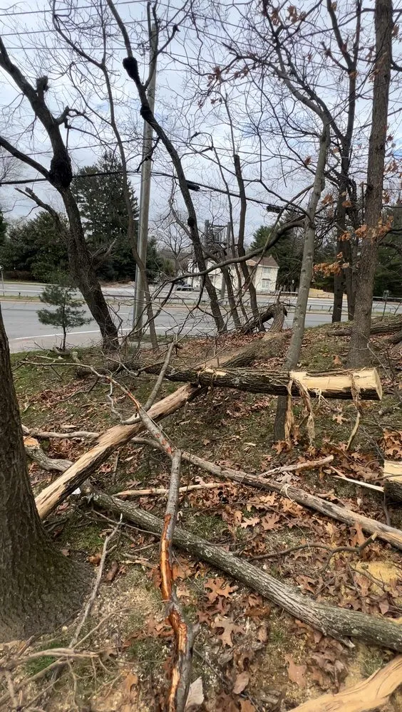 Top-rated landscape installation experts serving Bay Shore, NY - D&S Landscape