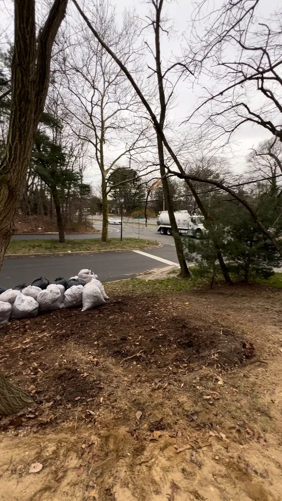 Expert lawn care service in Bay Shore, NY by D&S Landscape