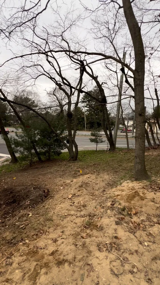 Affordable yard cleanup service for year-round maintenance in Bay Shore, NY by D&S Landscape