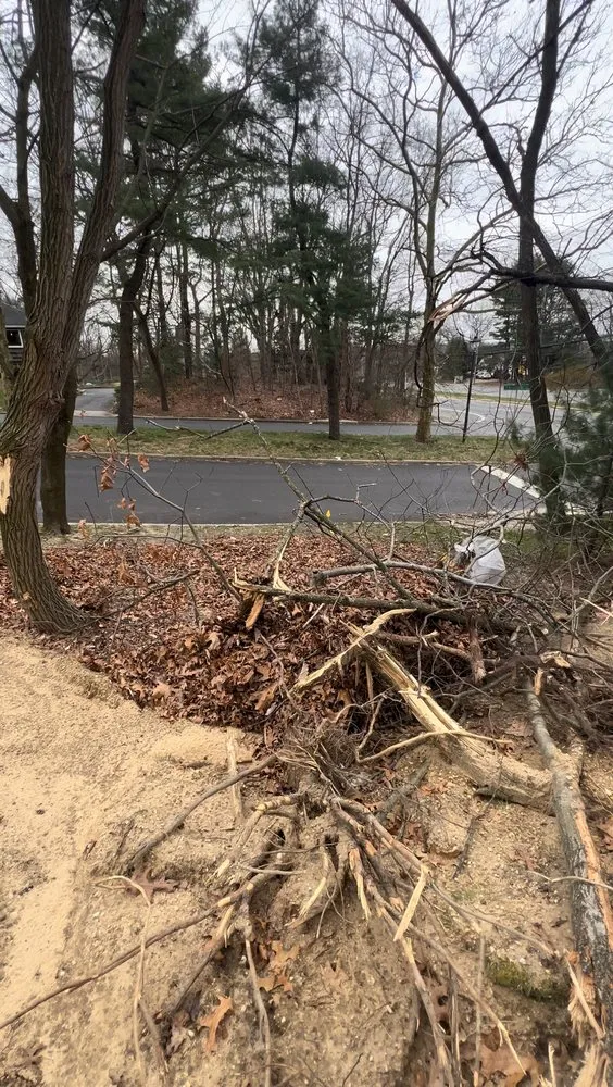 Local yard maintenance in Bay Shore, NY by D&S Landscape