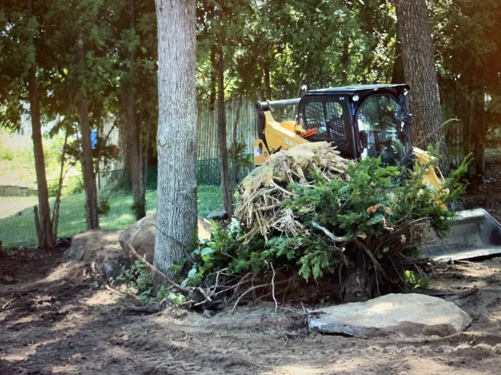 Top-rated yard cleanup service for outdoor upgrades across Worcester, MA - D.S. Landscapes