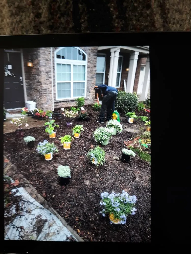 Local yard maintenance for outdoor upgrades across La Vergne, TN - D's Landscaping & Design