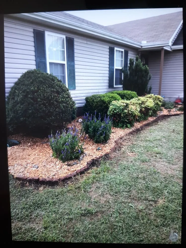 Expert lawn care service for residential properties across La Vergne, TN - D's Landscaping & Design