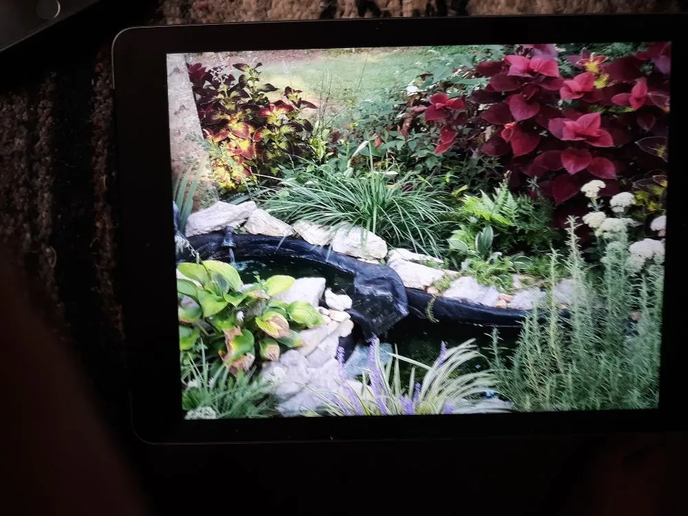 Trusted landscape design near you in La Vergne, TN by D's Landscaping & Design