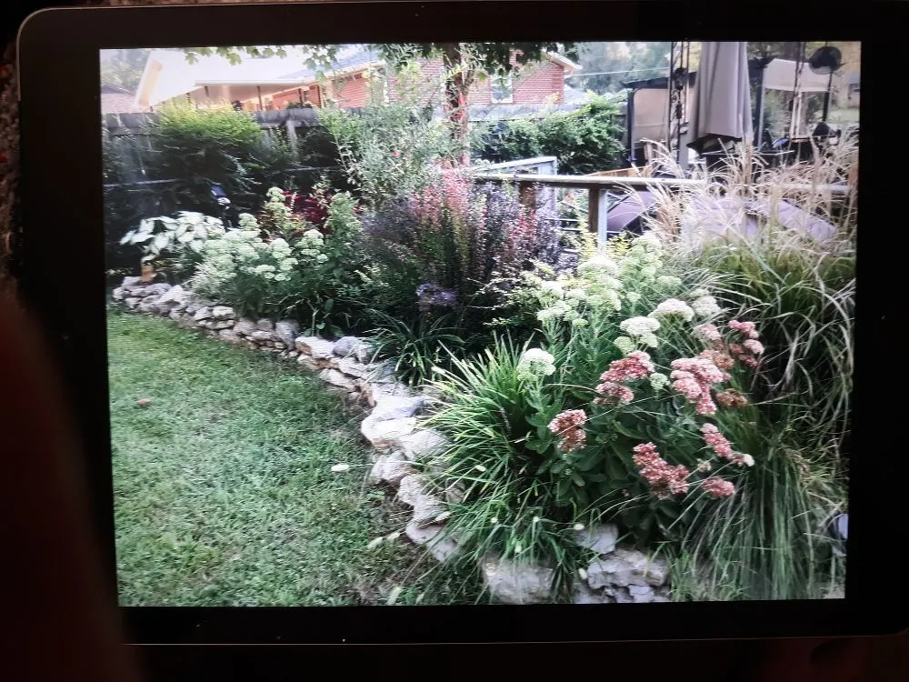 Custom yard maintenance in La Vergne, TN - D's Landscaping & Design