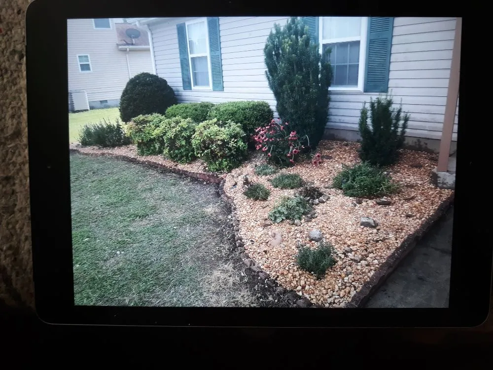 Professional outdoor landscaping experts serving La Vergne, TN - D's Landscaping & Design