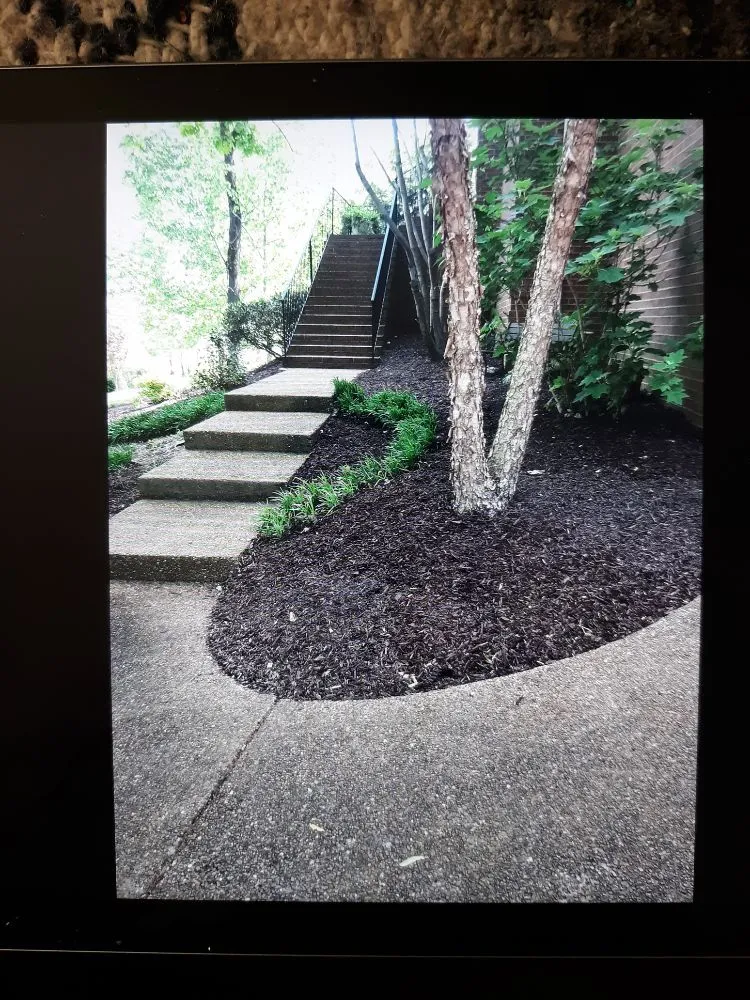 Affordable landscape design experts serving La Vergne, TN - D's Landscaping & Design