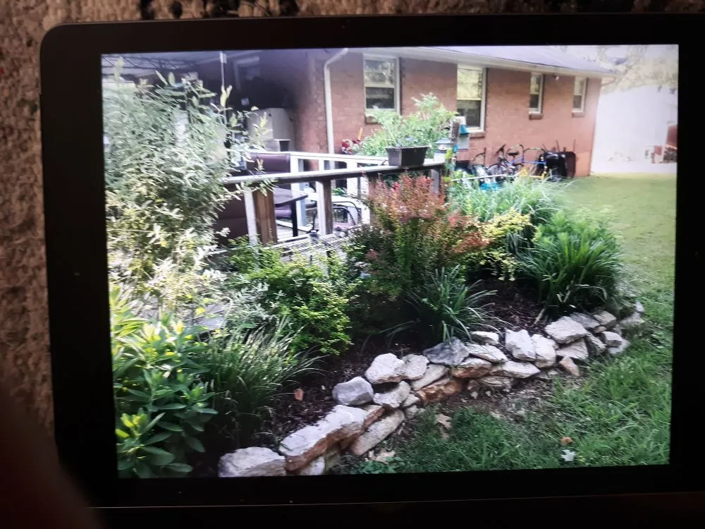 Affordable lawn care service near you in La Vergne, TN by D's Landscaping & Design